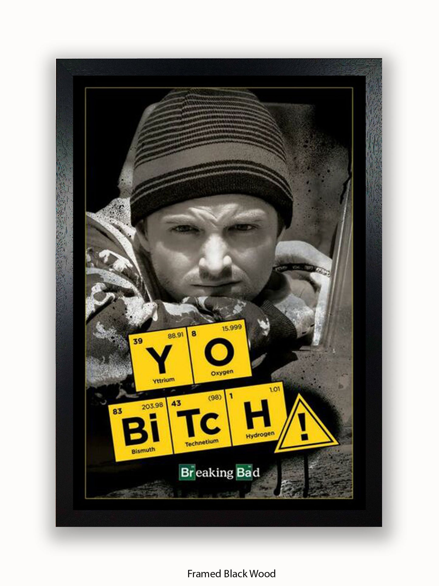 Breaking Bad  Yo Bitch Poster