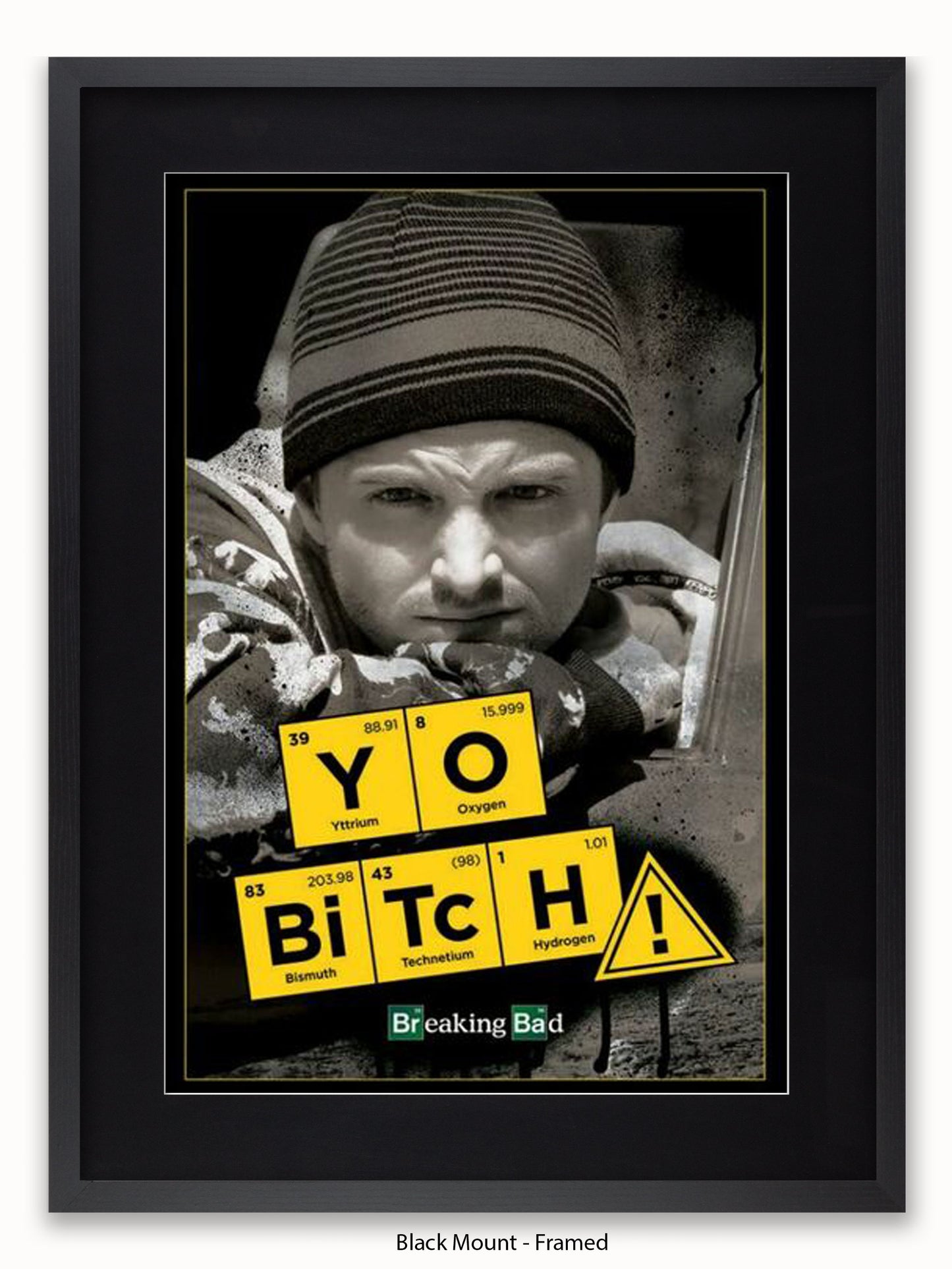 Breaking Bad  Yo Bitch Poster