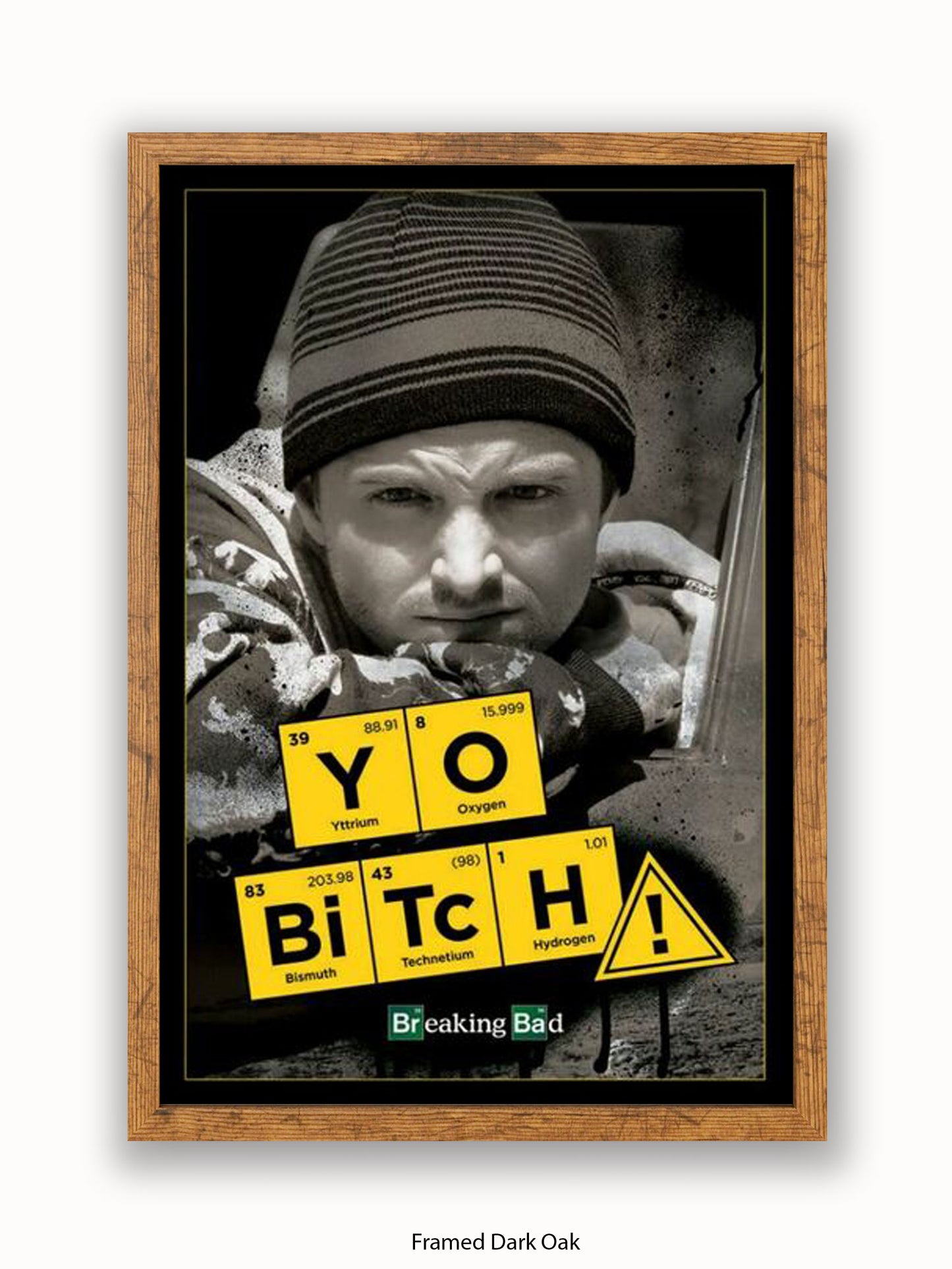 Breaking Bad  Yo Bitch Poster