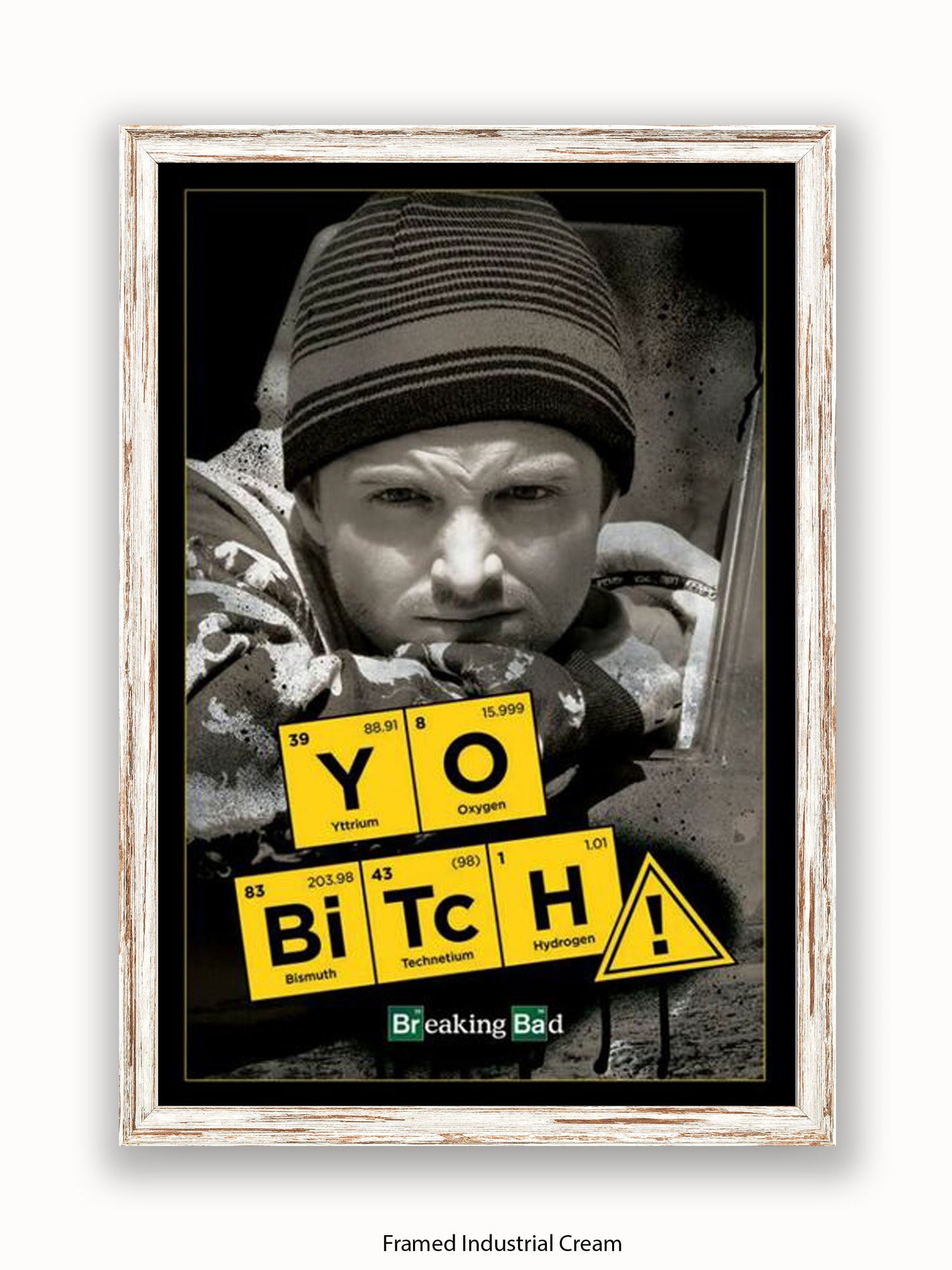 Breaking Bad  Yo Bitch Poster