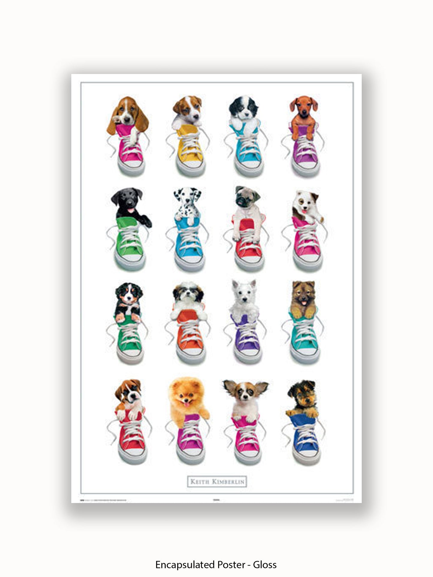 Keith Kimberlin Sneakers Puppies Poster
