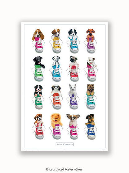 Keith Kimberlin Sneakers Puppies Poster
