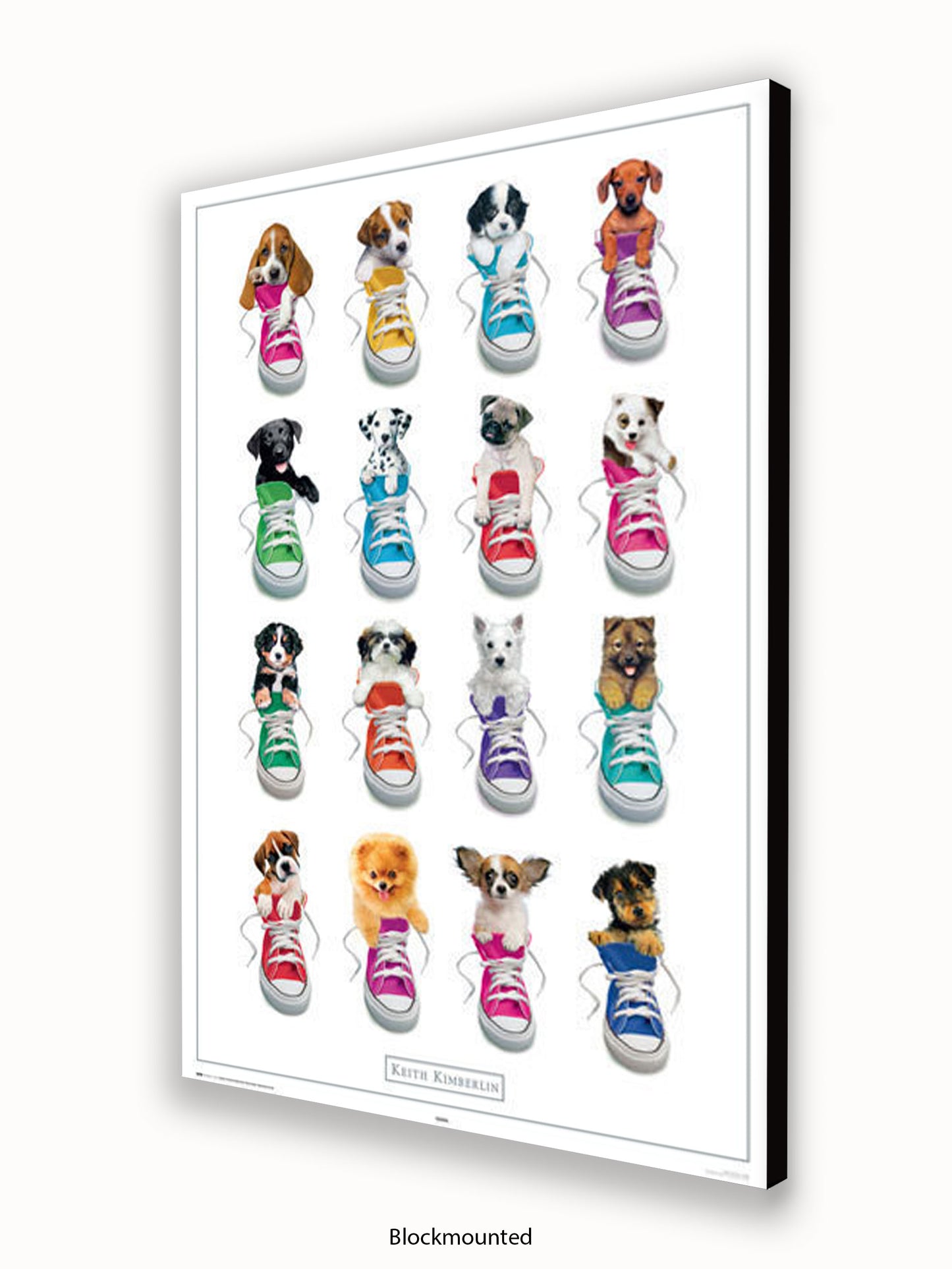 Keith Kimberlin Sneakers Puppies Poster