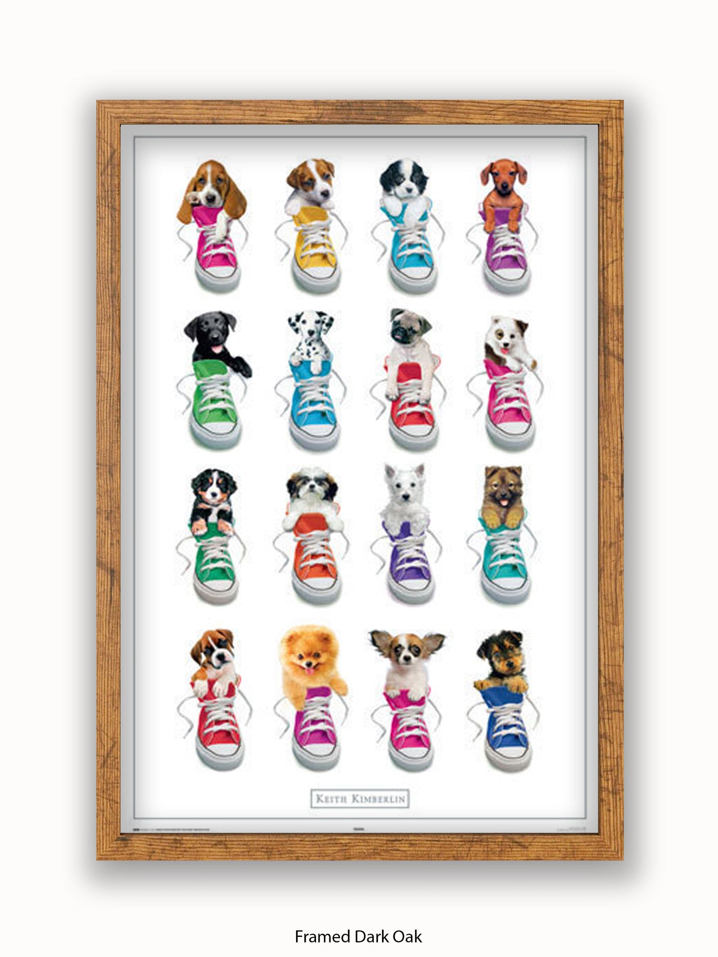 Keith Kimberlin Sneakers Puppies Poster