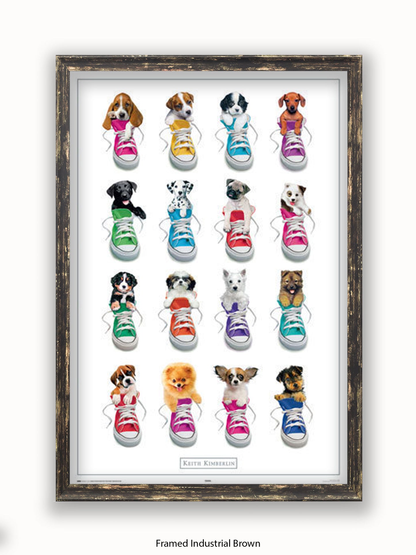 Keith Kimberlin Sneakers Puppies Poster