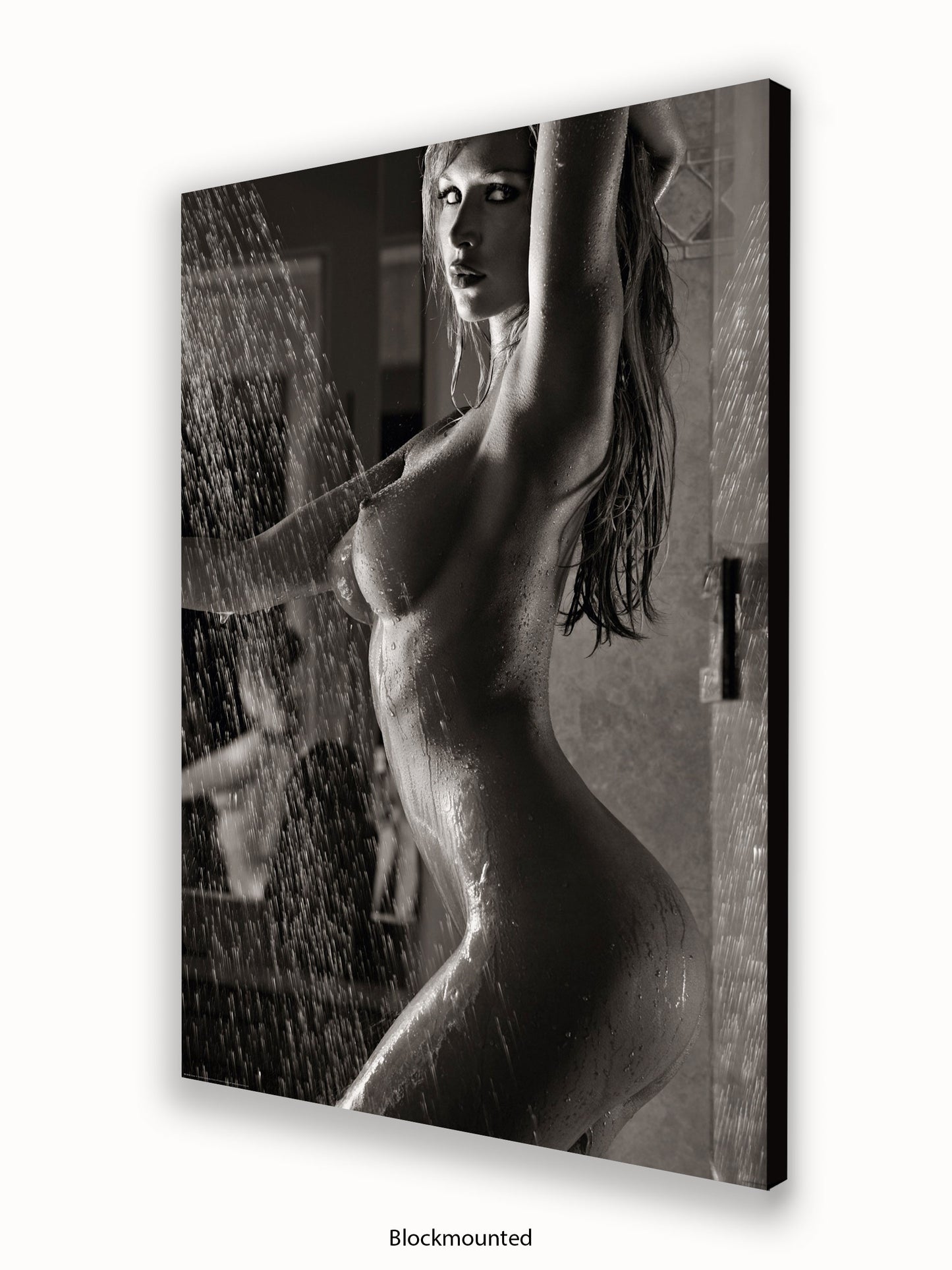 Sexy Shower Girl Poster