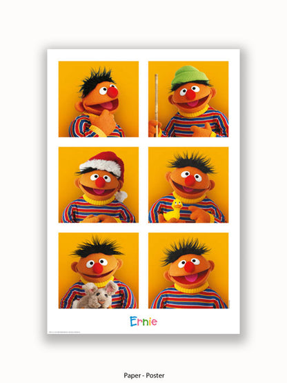 Sesame  Street  6  Ernies Poster