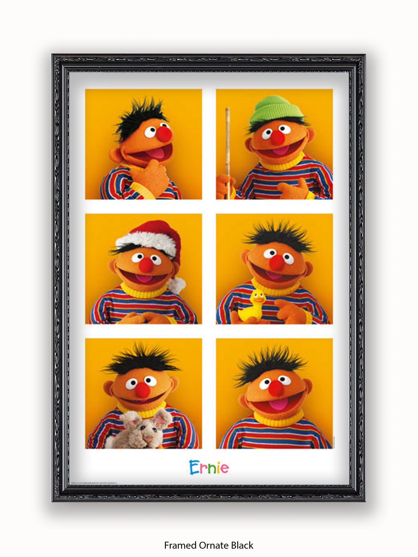 Sesame  Street  6  Ernies Poster