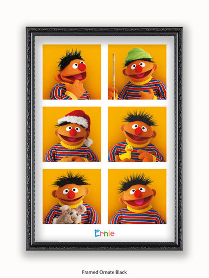 Sesame  Street  6  Ernies Poster