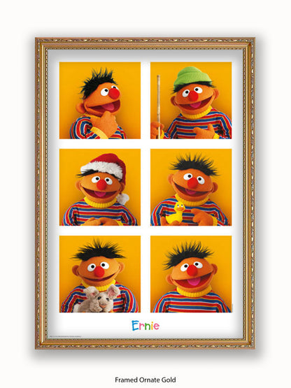 Sesame  Street  6  Ernies Poster