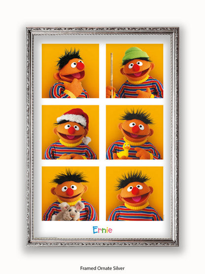 Sesame  Street  6  Ernies Poster