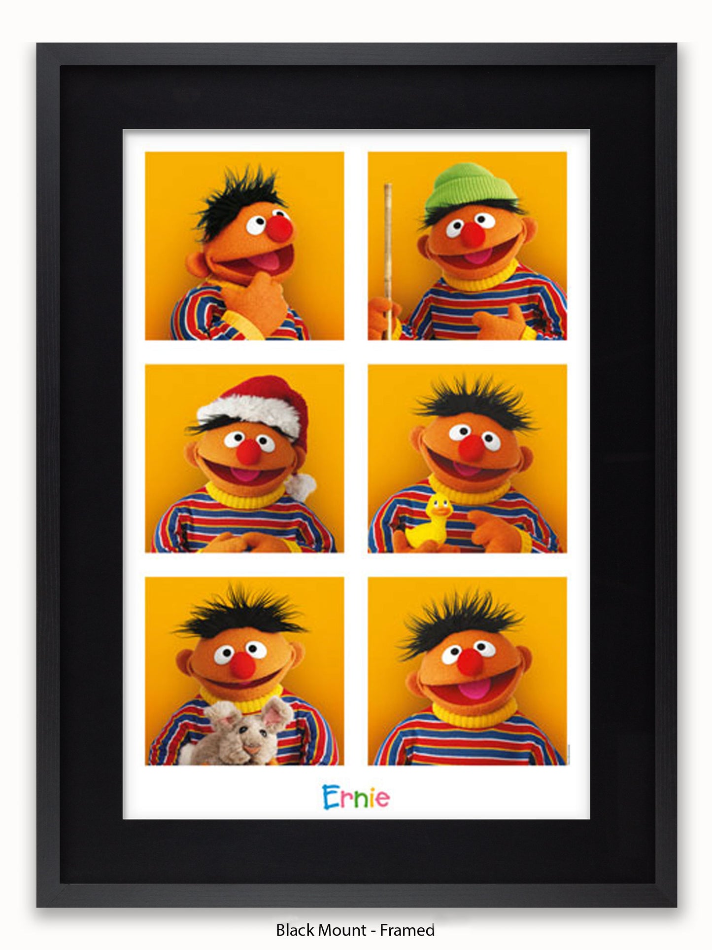 Sesame  Street  6  Ernies Poster
