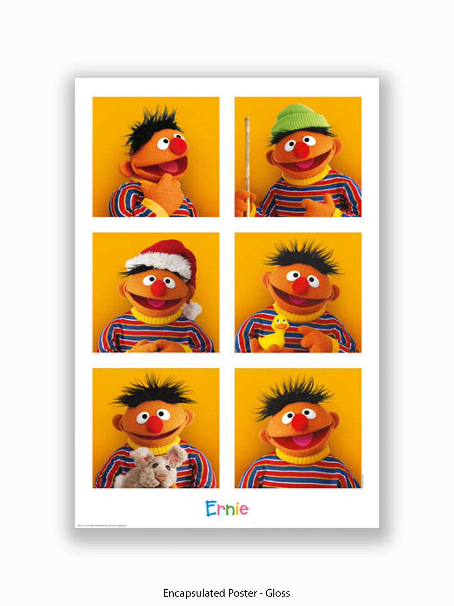 Sesame  Street  6  Ernies Poster