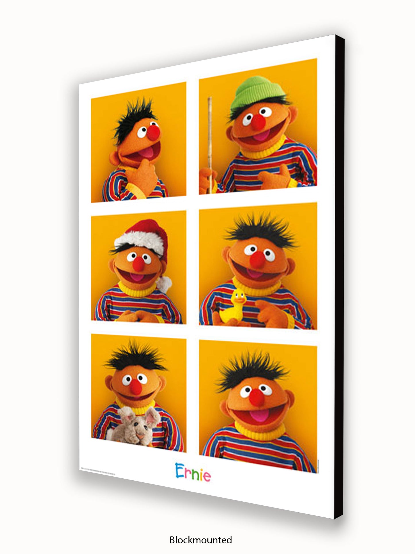 Sesame  Street  6  Ernies Poster