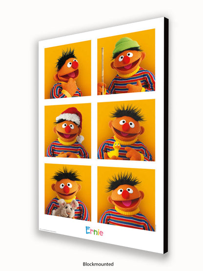 Sesame  Street  6  Ernies Poster