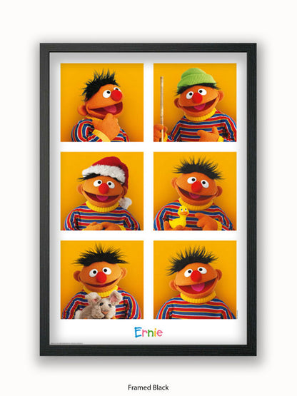 Sesame  Street  6  Ernies Poster