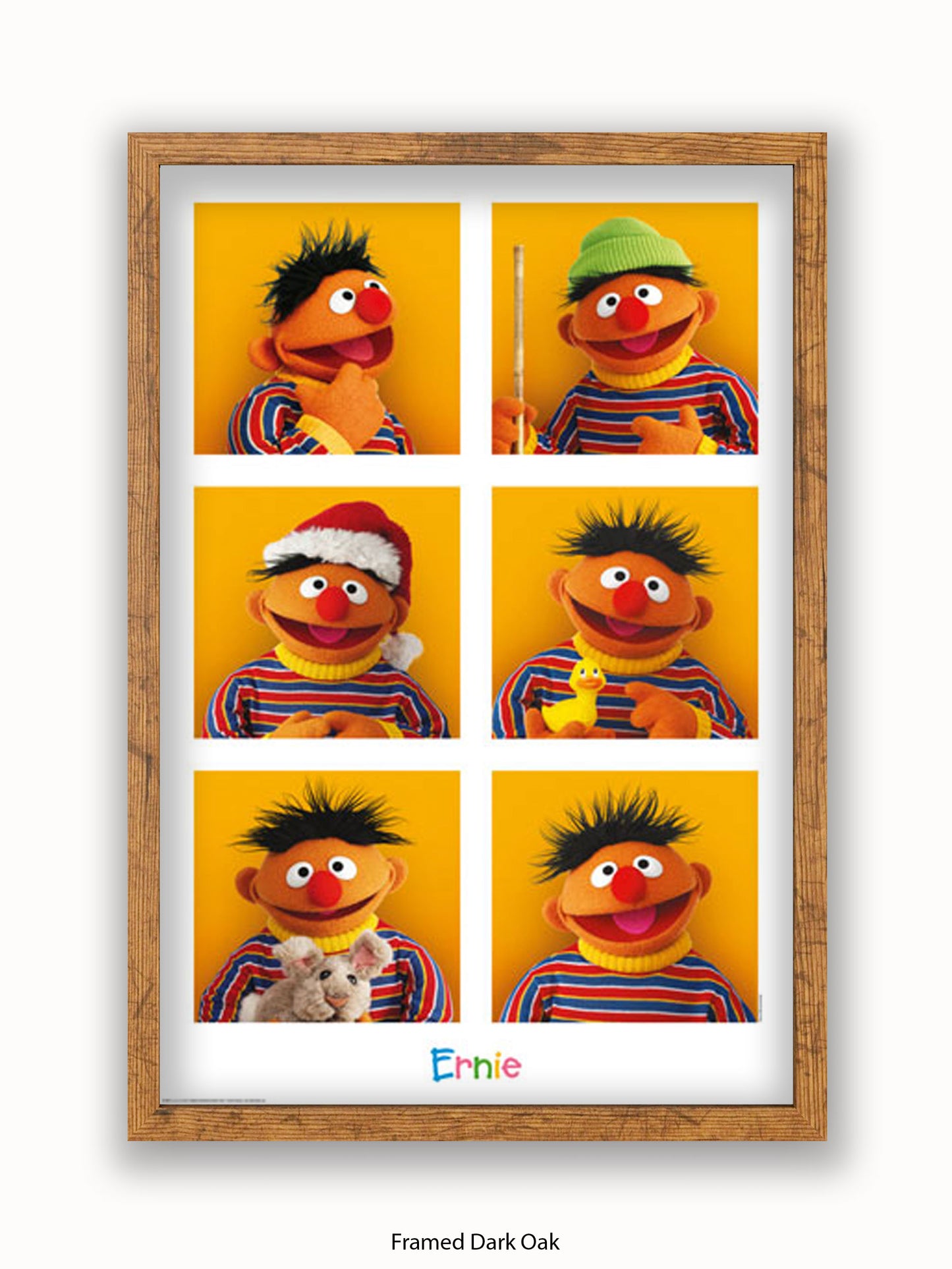 Sesame  Street  6  Ernies Poster