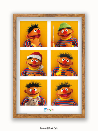 Sesame  Street  6  Ernies Poster