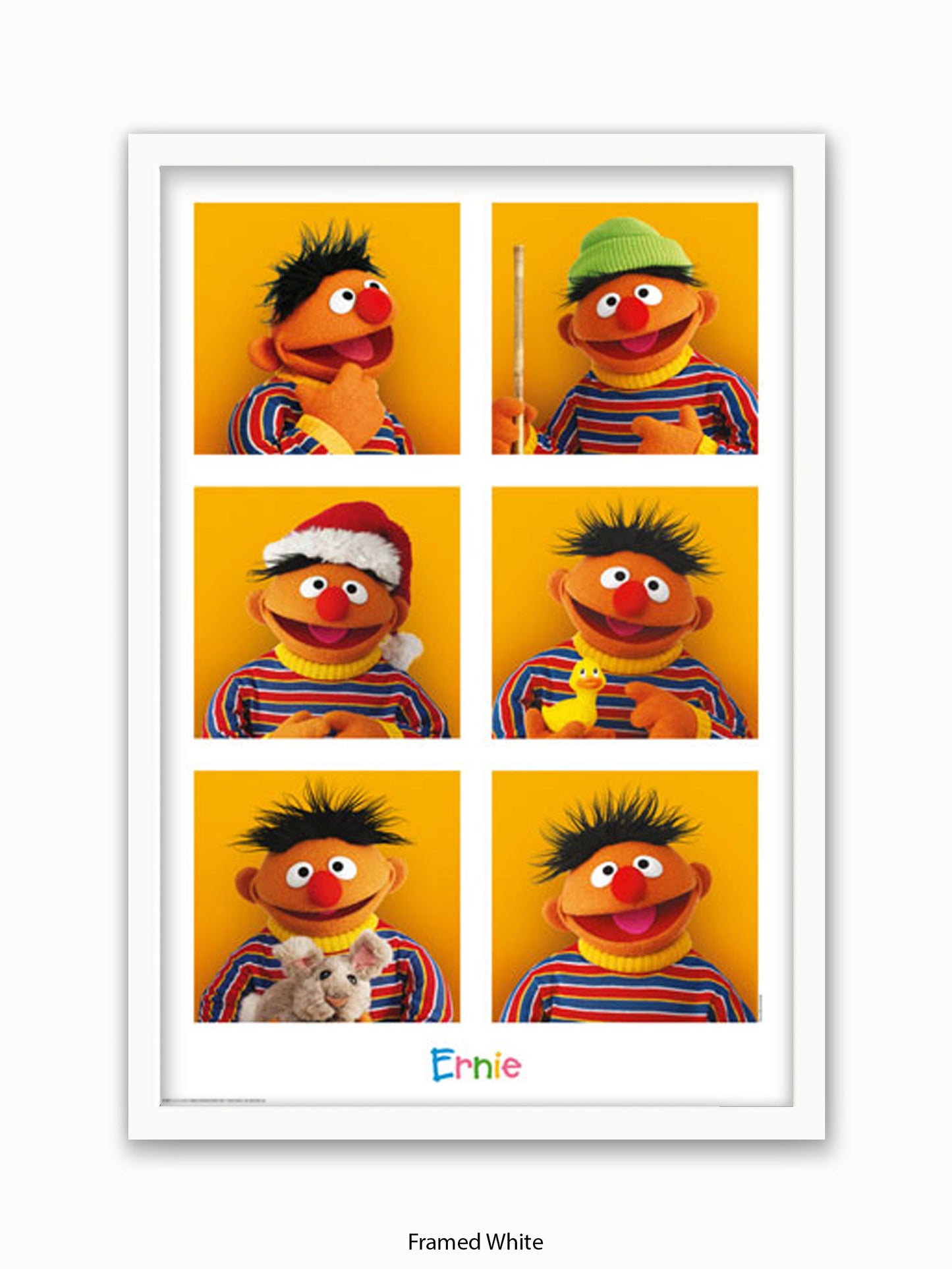 Sesame  Street  6  Ernies Poster