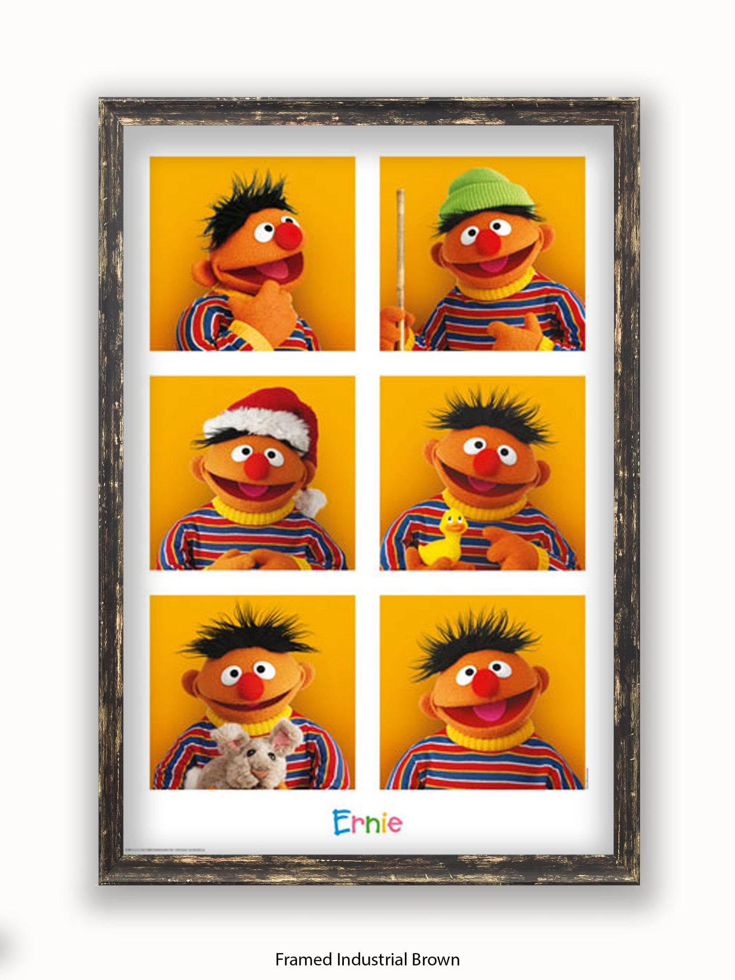 Sesame  Street  6  Ernies Poster
