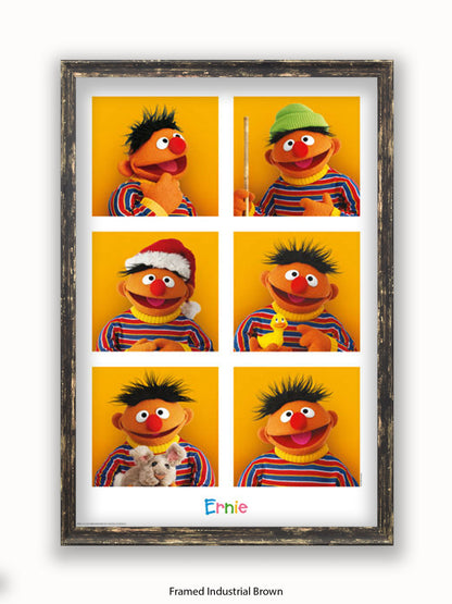 Sesame  Street  6  Ernies Poster