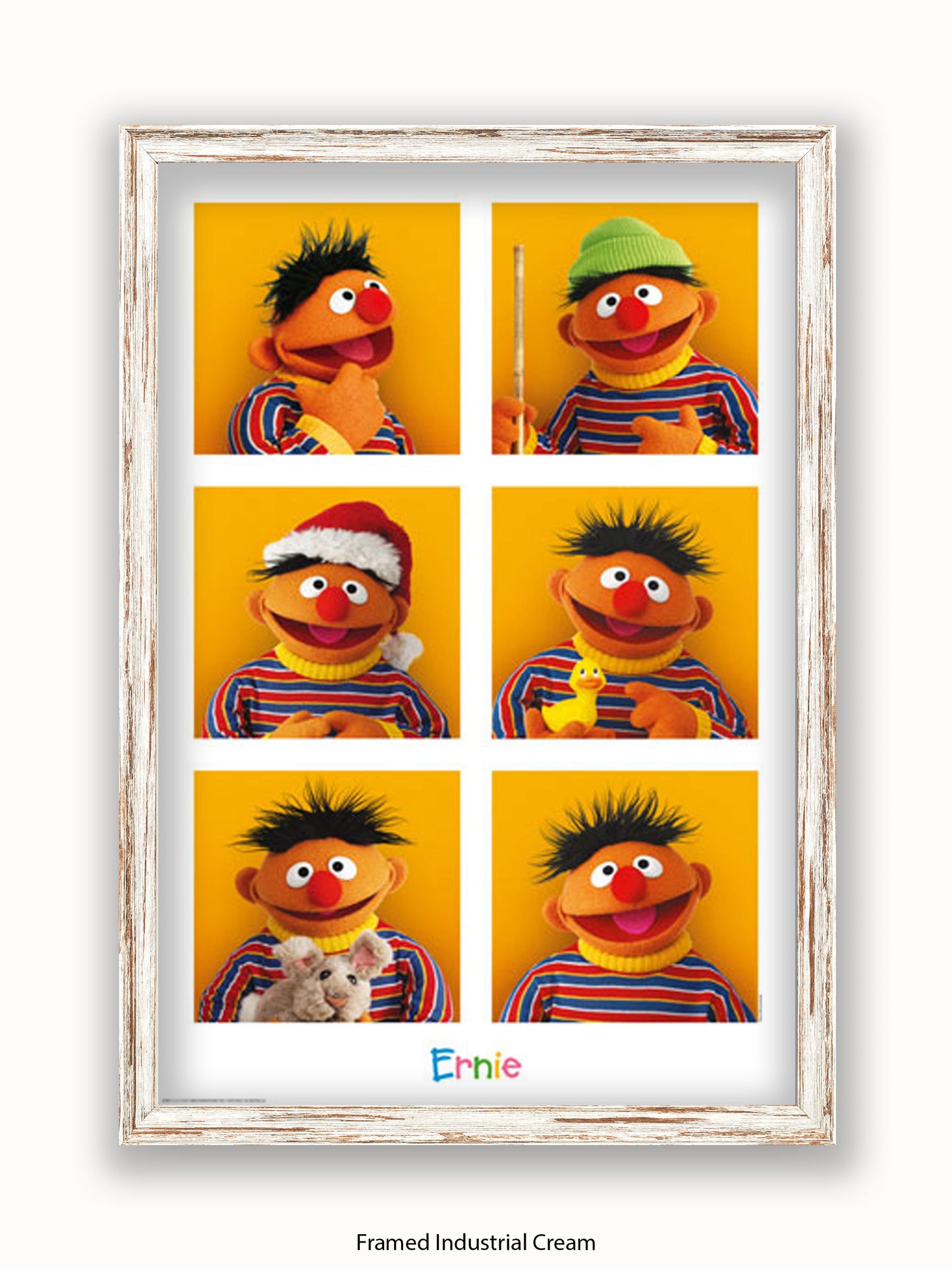 Sesame  Street  6  Ernies Poster