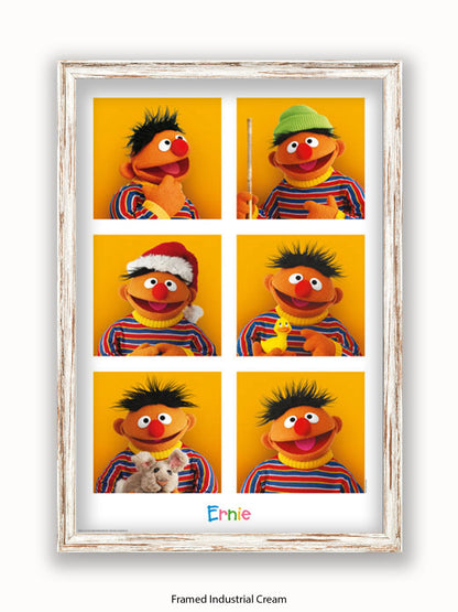 Sesame  Street  6  Ernies Poster