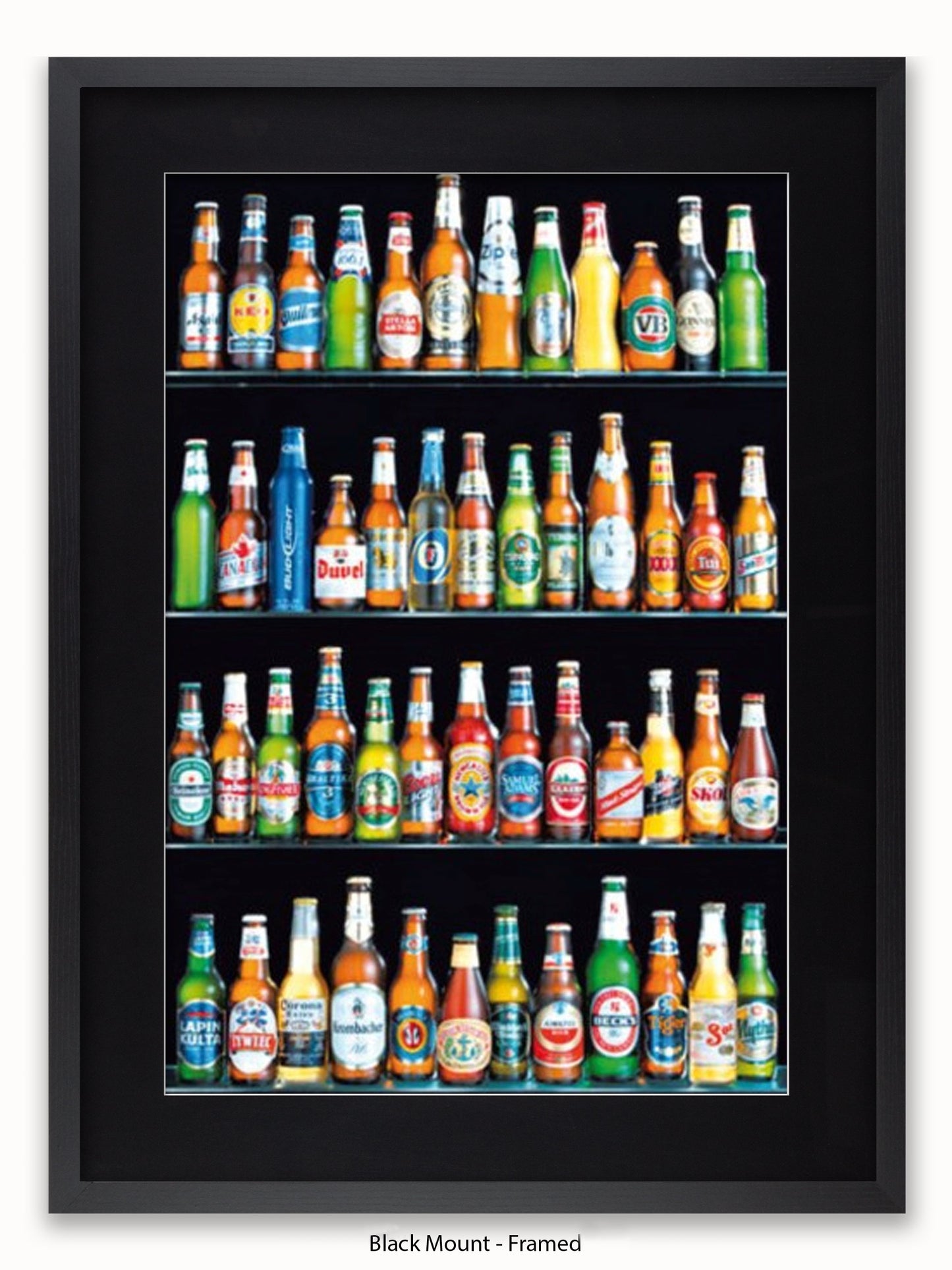 Beers Of The World Poster