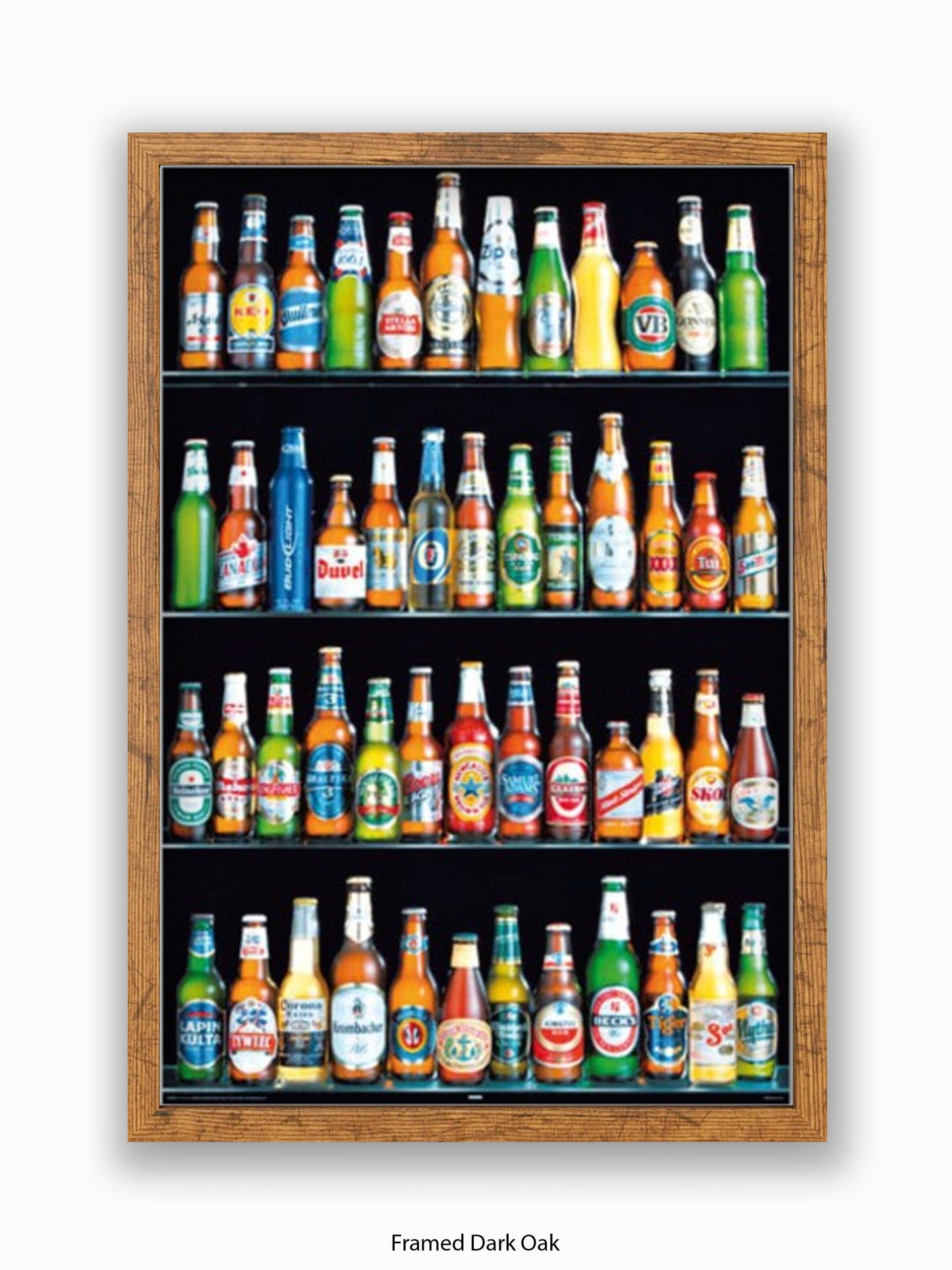 Beers Of The World Poster