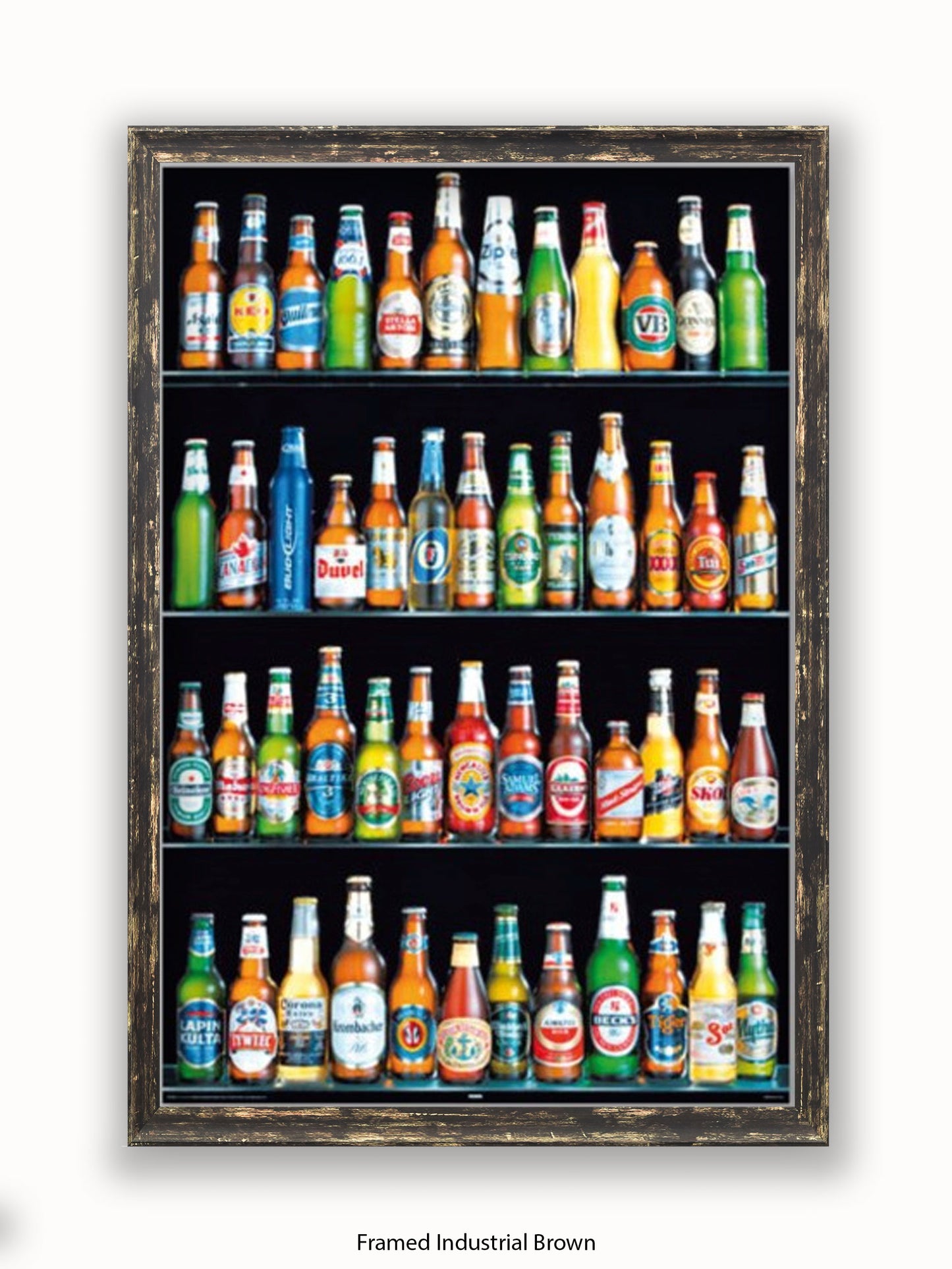 Beers Of The World Poster