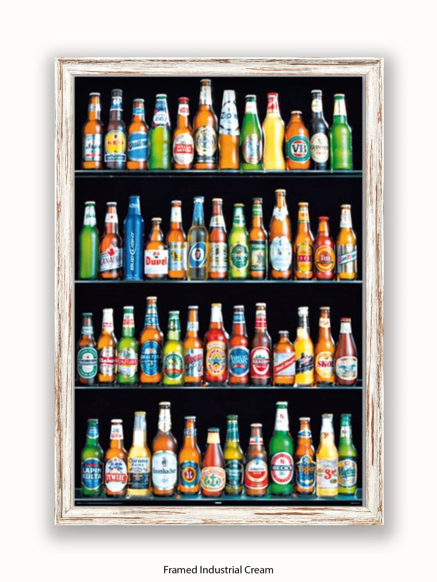 Beers Of The World Poster