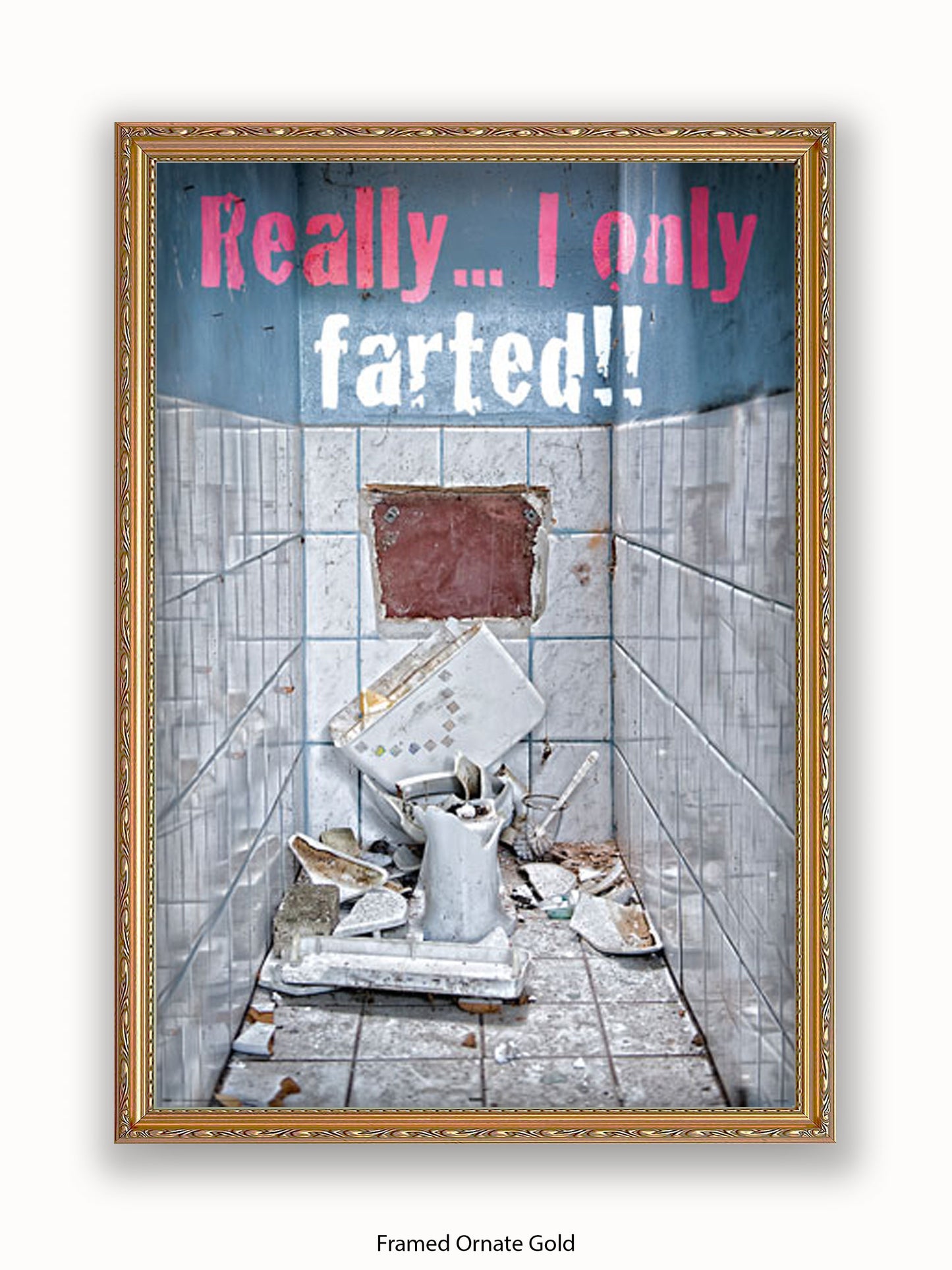 Really I Only Farted Poster