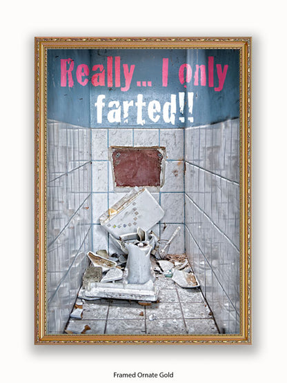 Really I Only Farted Poster