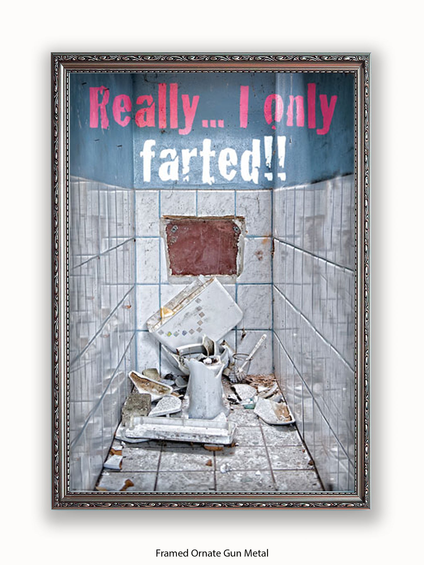 Really I Only Farted Poster
