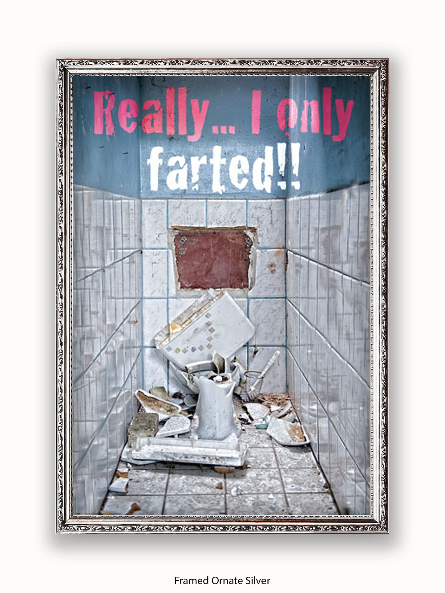 Really I Only Farted Poster