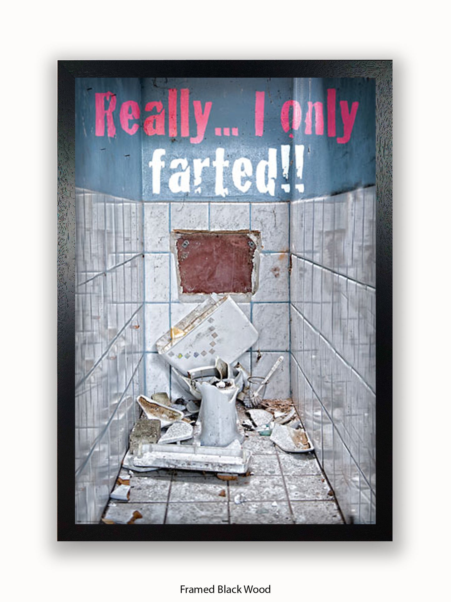 Really I Only Farted Poster