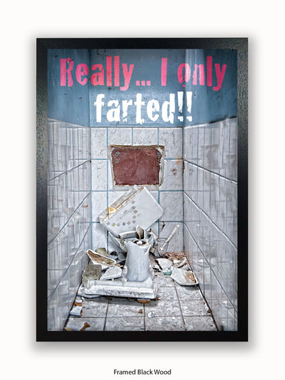 Really I Only Farted Poster