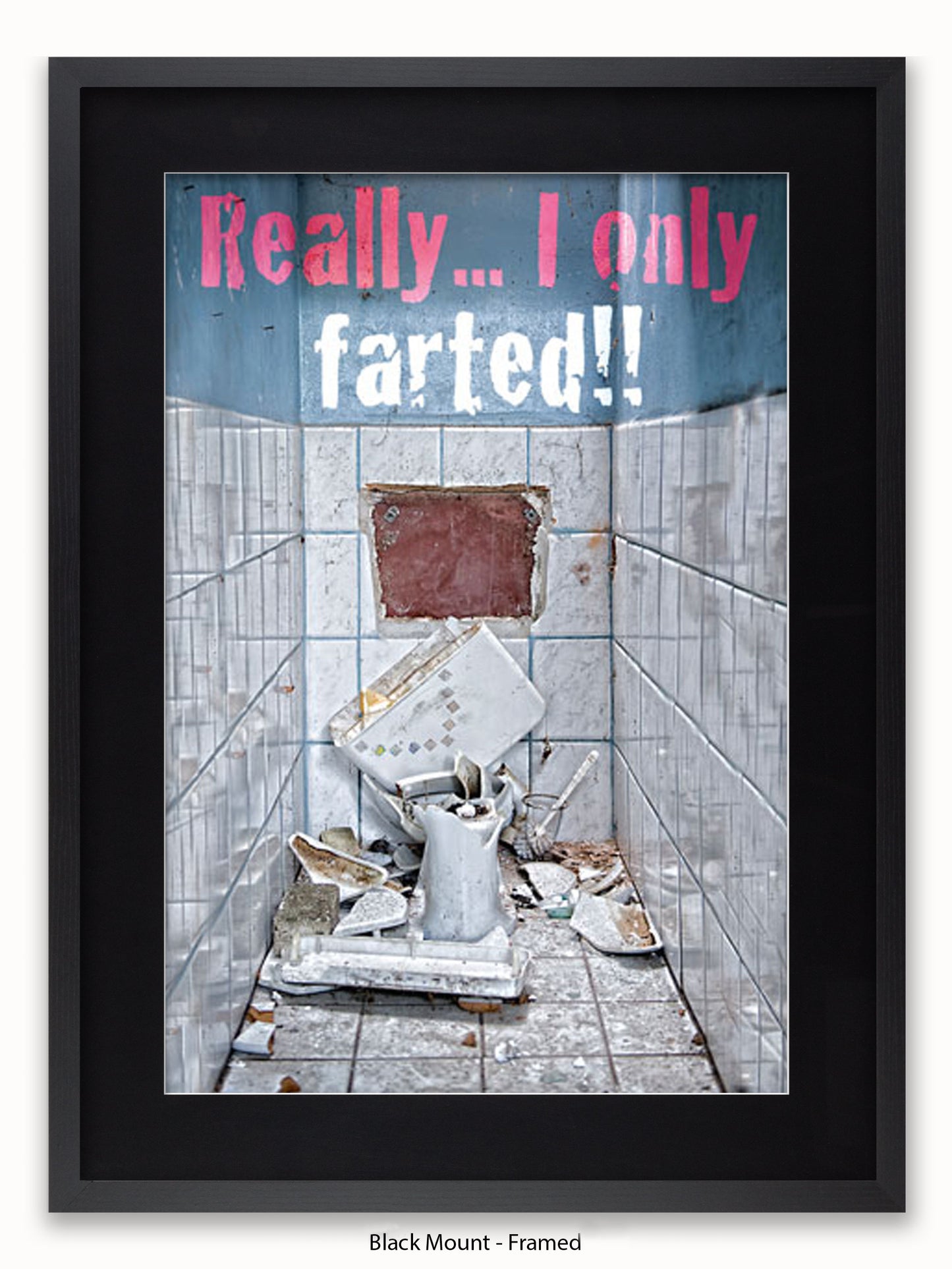 Really I Only Farted Poster