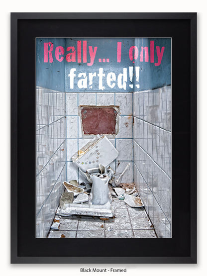 Really I Only Farted Poster