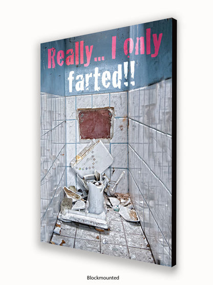 Really I Only Farted Poster