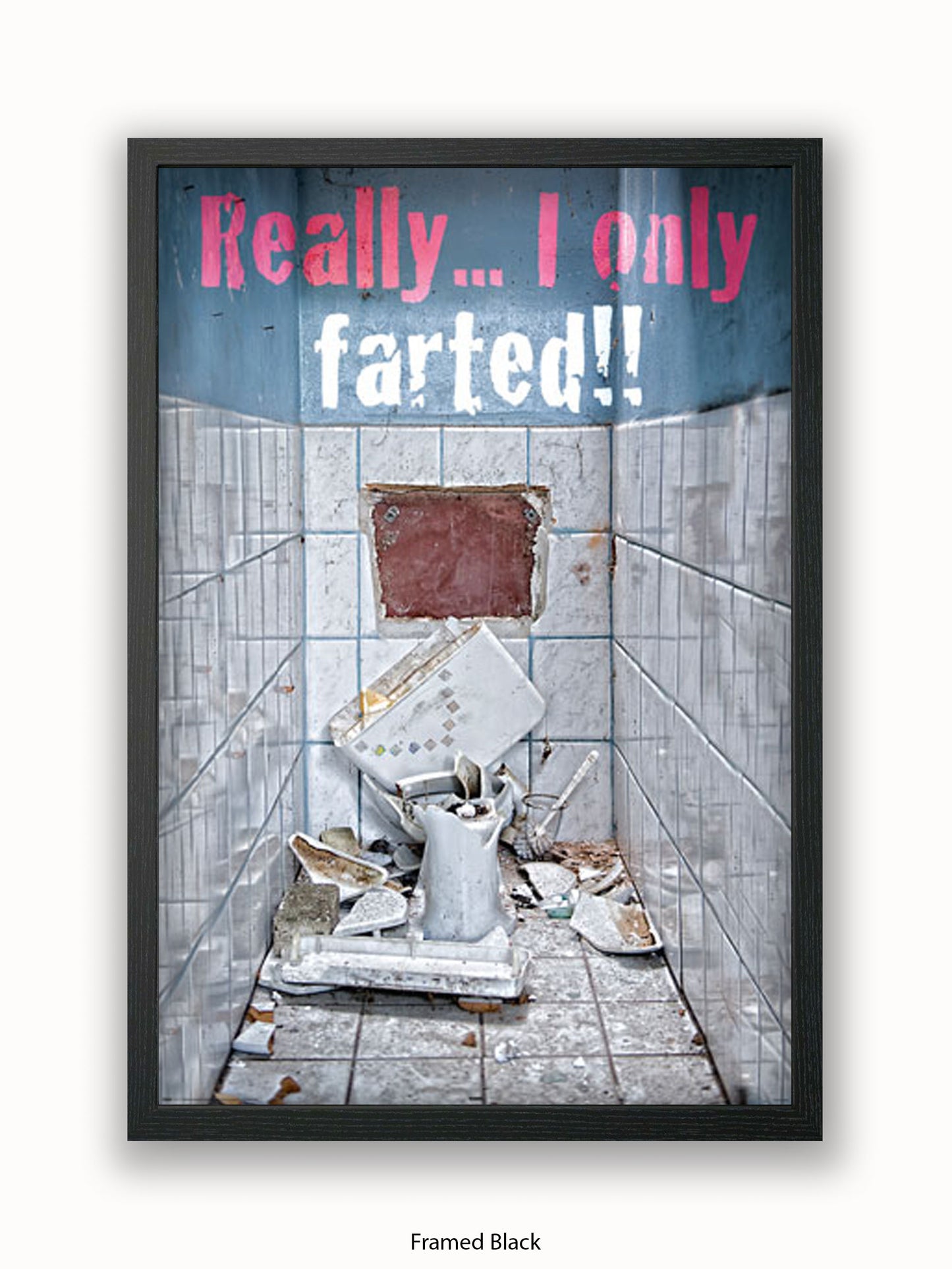 Really I Only Farted Poster