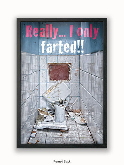 Really I Only Farted Poster