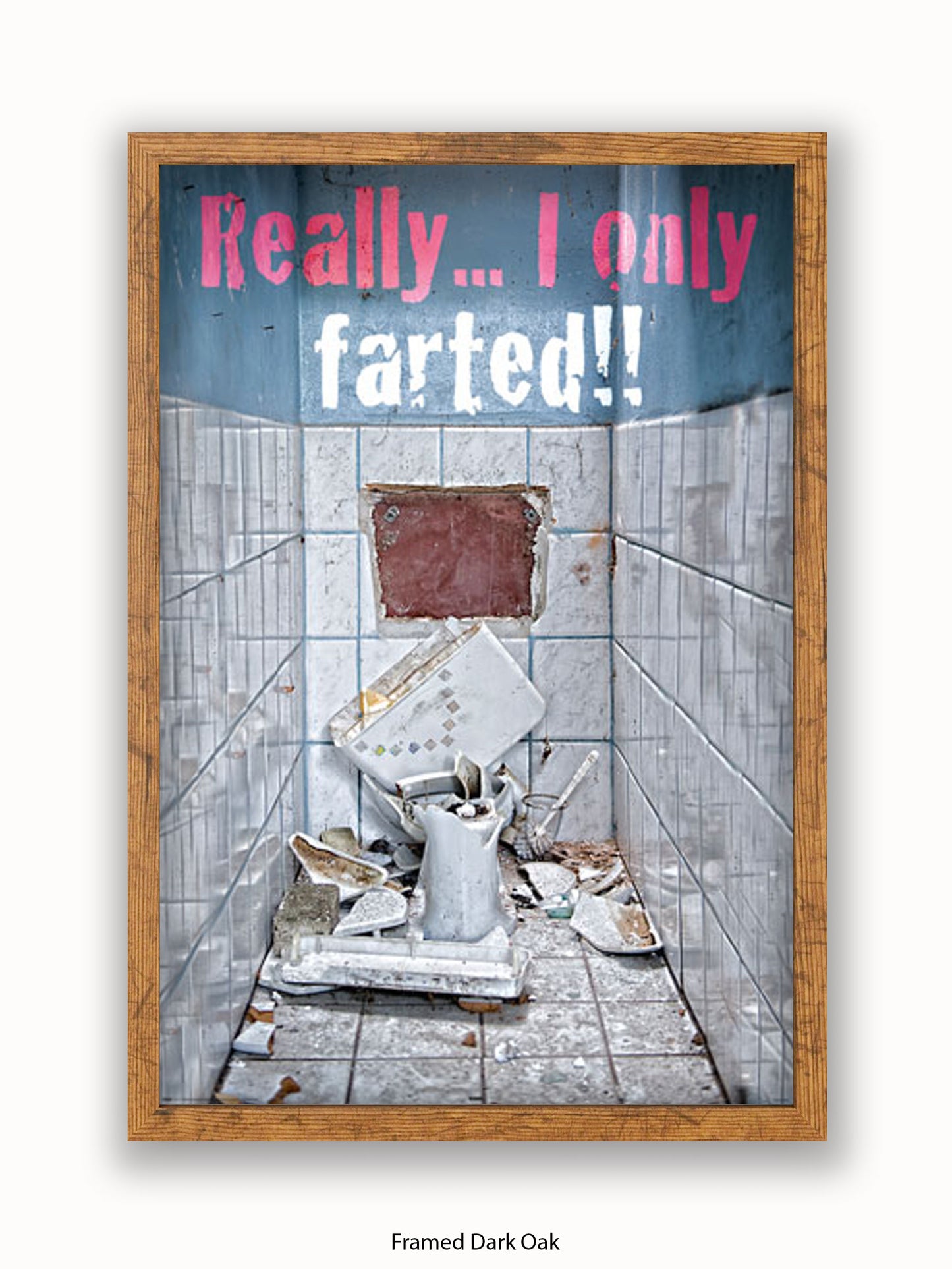 Really I Only Farted Poster