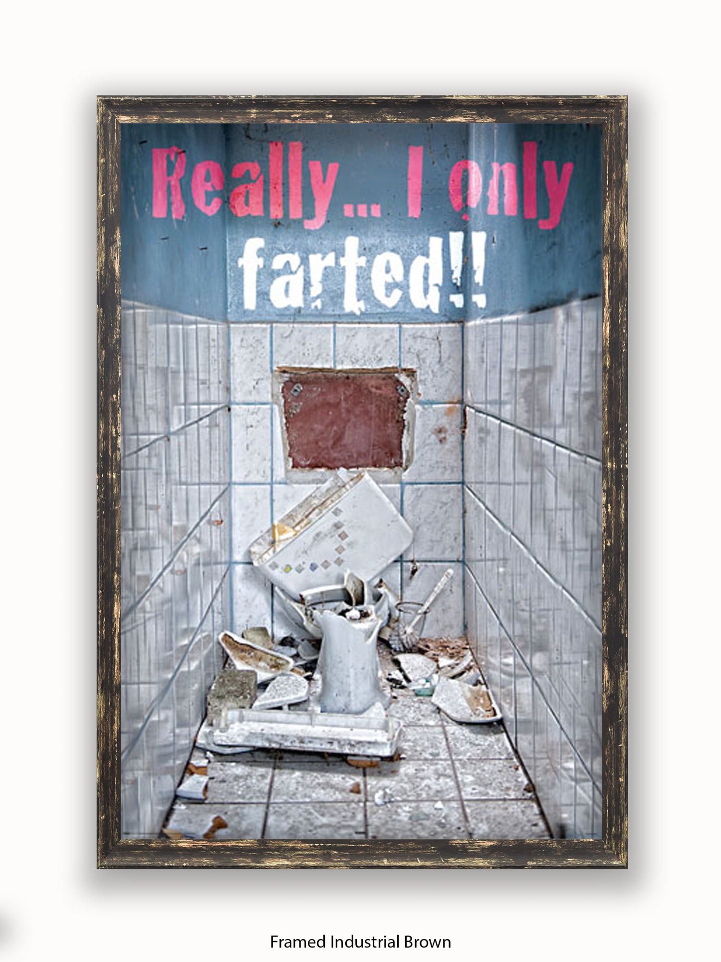 Really I Only Farted Poster