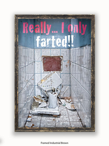 Really I Only Farted Poster