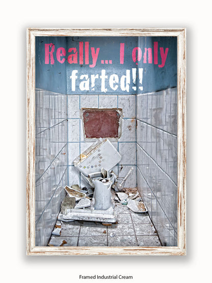 Really I Only Farted Poster