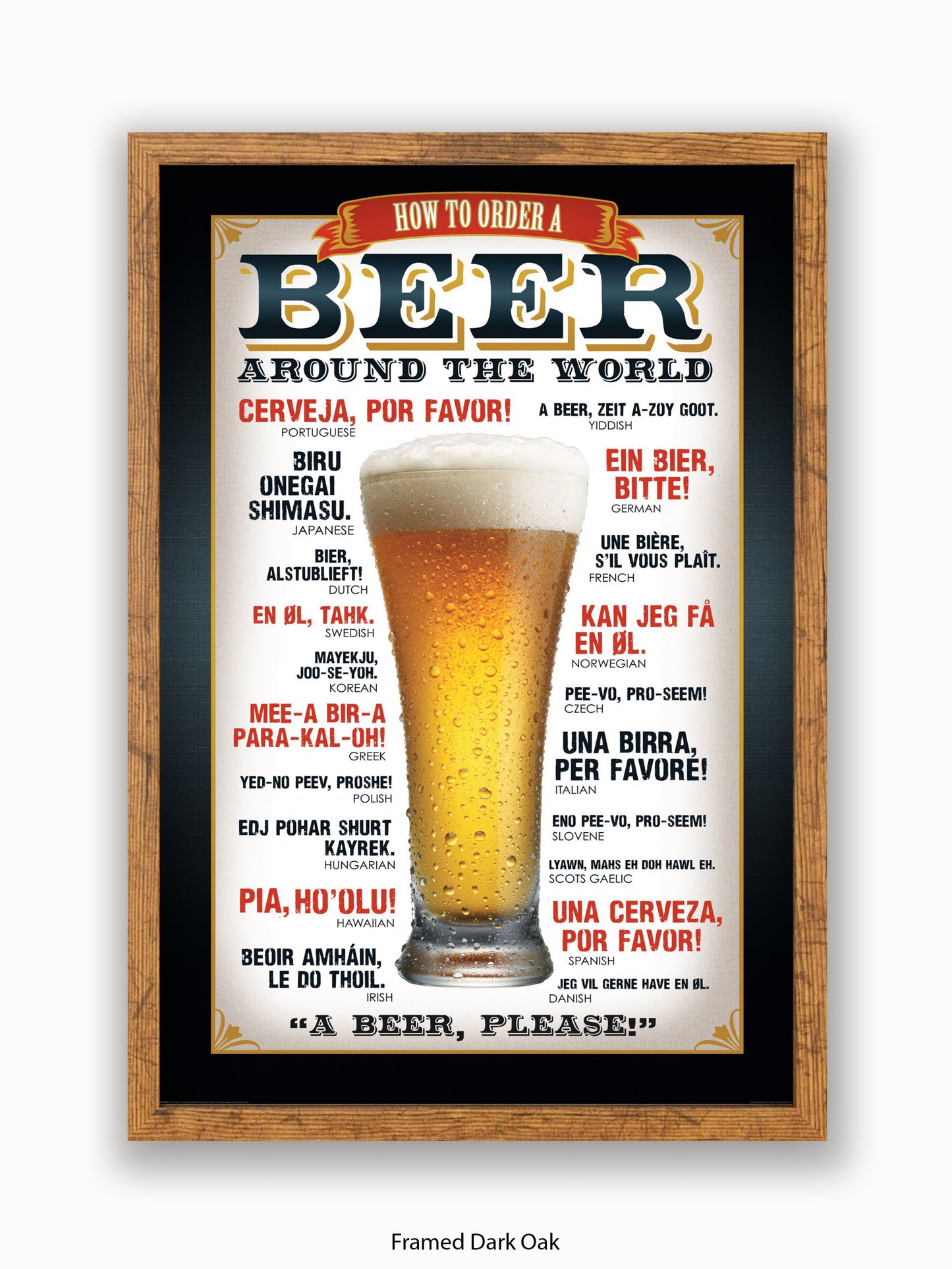 Beers Around The World Please Poster