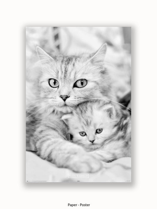 Keith Kimberlin Cat & Kitten Poster