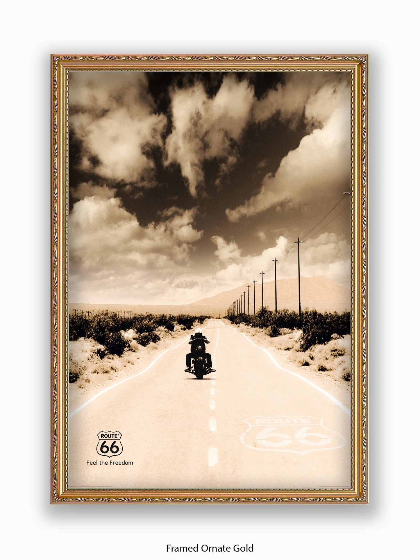 Route 66 Biker Poster