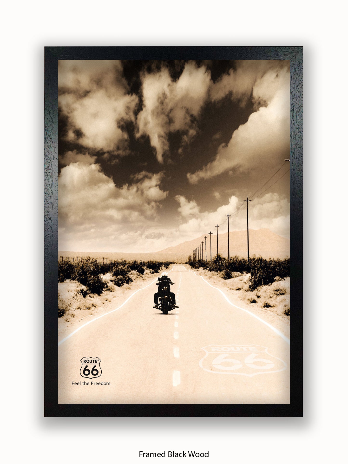 Route 66 Biker Poster